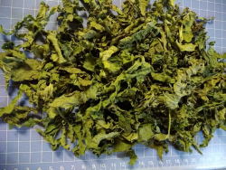 Подорожник большой, листья резаные, /лат. Plantágo májor/. - фото2